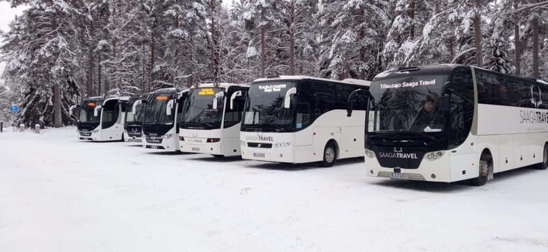 Rovaniemi: Northern Lights Bus Tour with Hot Drinks & Snacks - FAQs