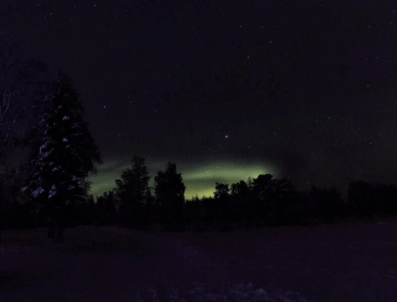 Rovaniemi: Northern Lights Snowmobile Safari with Campfire - The Snowmobile Ride: An Arctic Thrill