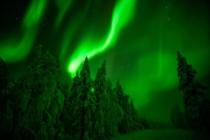 Rovaniemi: Northern Lights Snowmobile Tour - Booking Information and Tips