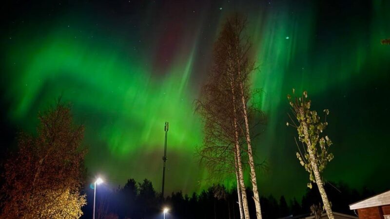 Rovaniemi: Northern Lights Tour with BBQ - Final Thoughts