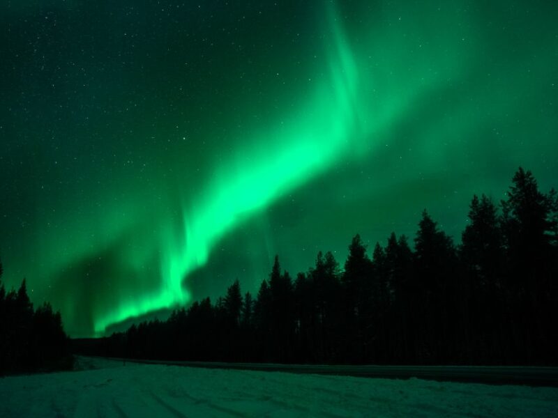 Rovaniemi: Northern Lights Tour With Guaranteed Sightings - Inclusions and What to Bring