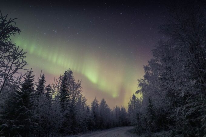Rovaniemi: Northern LIGHTS With Sauna, Ice Swimming & Dinner - Important Participant Information