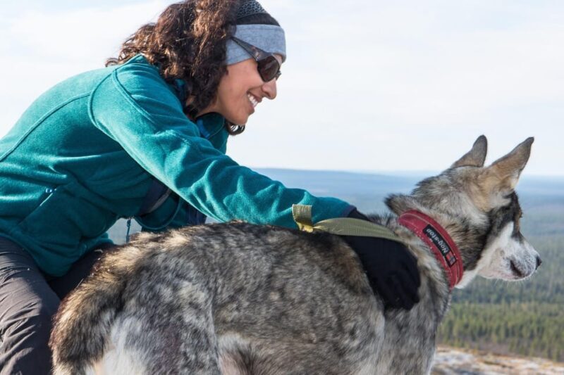 Rovaniemi: One Hour Husky Experience - Key Points