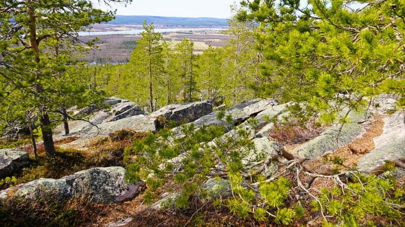 Rovaniemi: Övertorneå and Aavasaksa Hill. History and Nature - Final Words