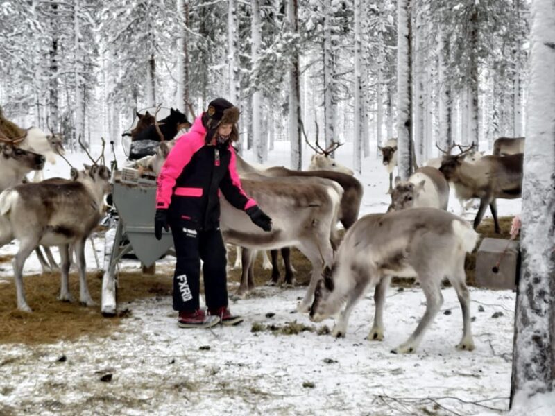 Rovaniemi: Private reindeer farm visit & culture experience - Final Thoughts