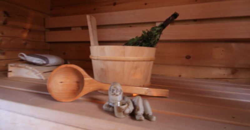 Rovaniemi: Private Sauna, Jacuzzi and Dinner - Key Points