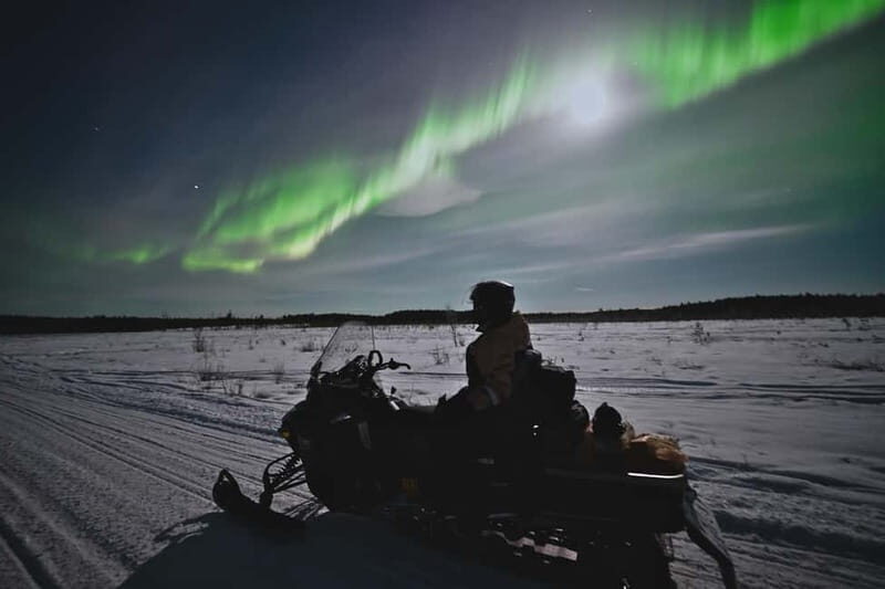 Rovaniemi: Private Snowmobile Trip in Lapland - Key Points
