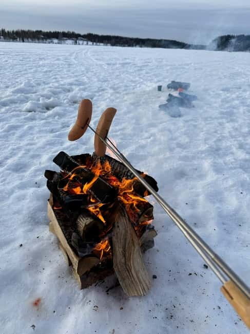 Rovaniemi: Private Snowmobile Trip in Lapland - The Bottom Line