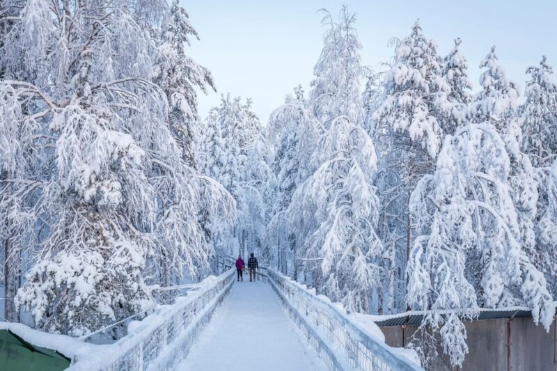 Rovaniemi: Ranua Zoo Wildlife Park Tour with hotel pickup - What Reviewers Say  
