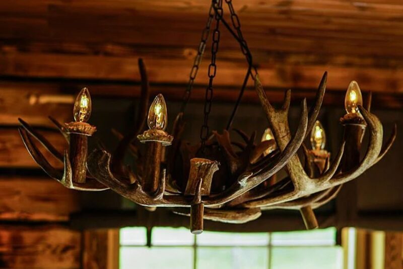 Rovaniemi: Reindeer Farm Visit in the Summer - Pricing and Duration