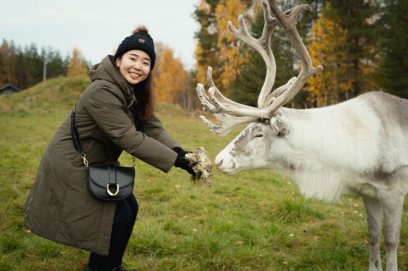 Rovaniemi: Reindeer Farm Visit with Photographer - Who Is This Tour Best For?