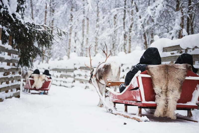 Rovaniemi: Reindeer, Huskies & Santa Claus Village - An In-Depth Look at the Rovaniemi Arctic Experience