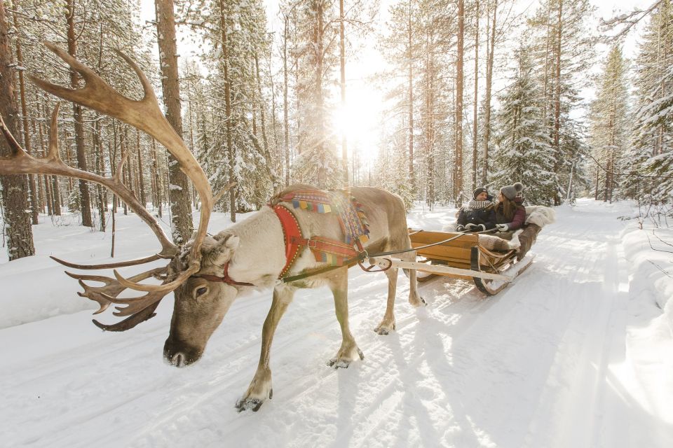 Rovaniemi: Reindeer, Huskies, Santa's Pets & Aurora Hunt - Exploring the Arctic with Rovaniemi’s Tour