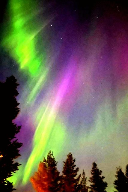 Rovaniemi: Reindeer, Huskies, Santa's Pets & Aurora Hunt - Final Thoughts