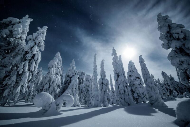 Rovaniemi: Reindeer Safari and Northern Lights Tour - Key Points