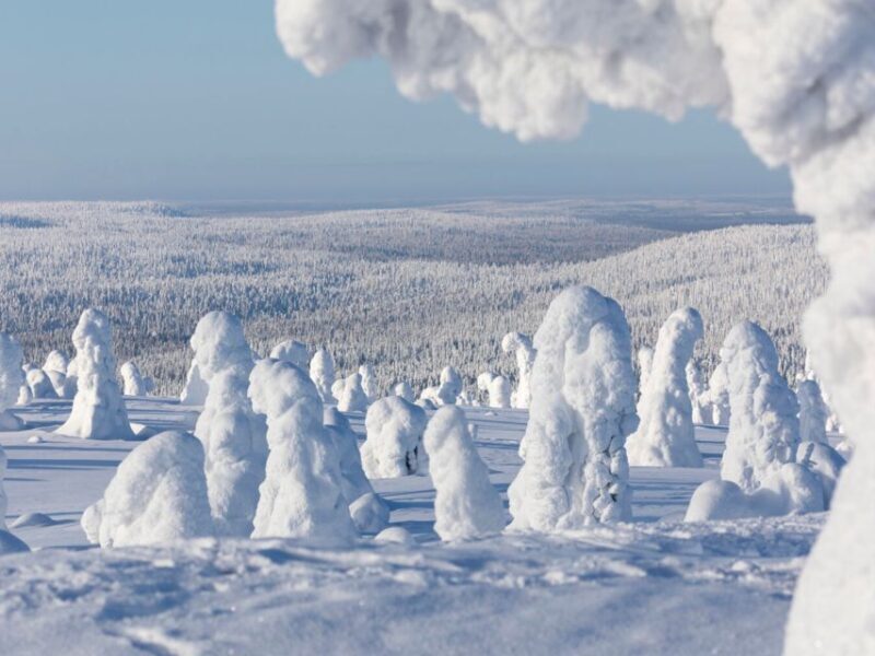 Rovaniemi: Riisitunturi Full-Day Wilderness Adventure & BBQ - Exploring Riisitunturi: A Scenic Winter Wonderland