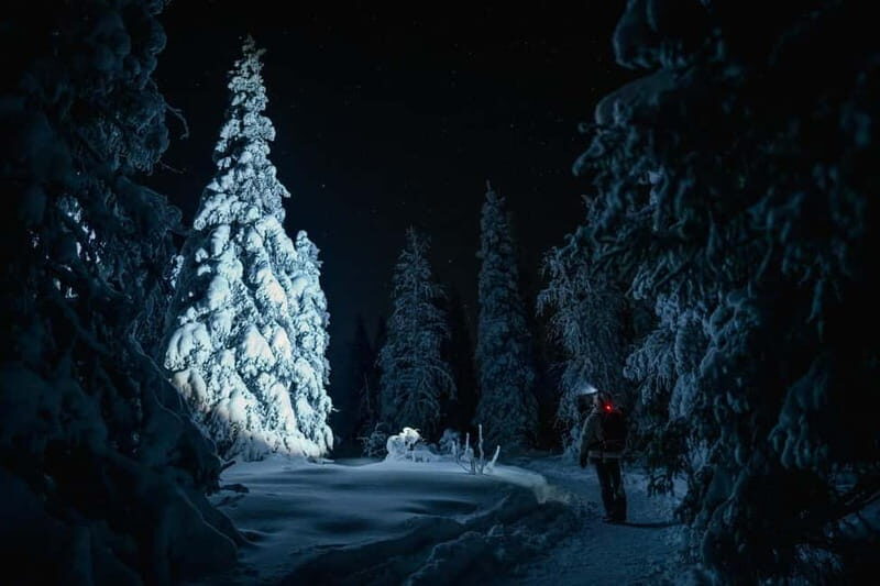 Rovaniemi: Riisitunturi National Park Night Photography Tour - An In-Depth Look at the Tour Experience