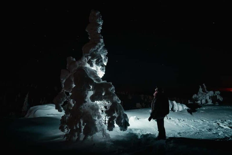 Rovaniemi: Riisitunturi National Park Night Photography Tour - Who Should Book This Tour?