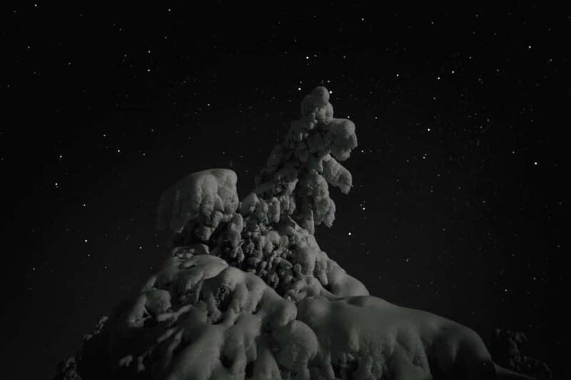 Rovaniemi: Riisitunturi National Park Night Photography Tour - FAQ