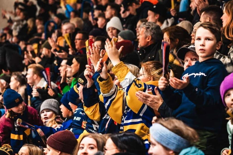 Rovaniemi: RoKi Hockey Ice Hockey Tickets - What to Expect on the Night