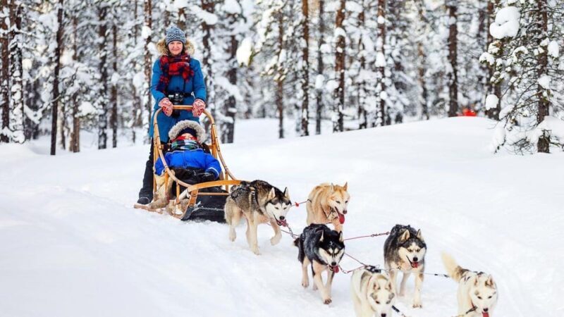 Rovaniemi: Santa Claus Village + Husky & Reindeer Sled Ride - What to Expect: A Close-Up Look at the Tour