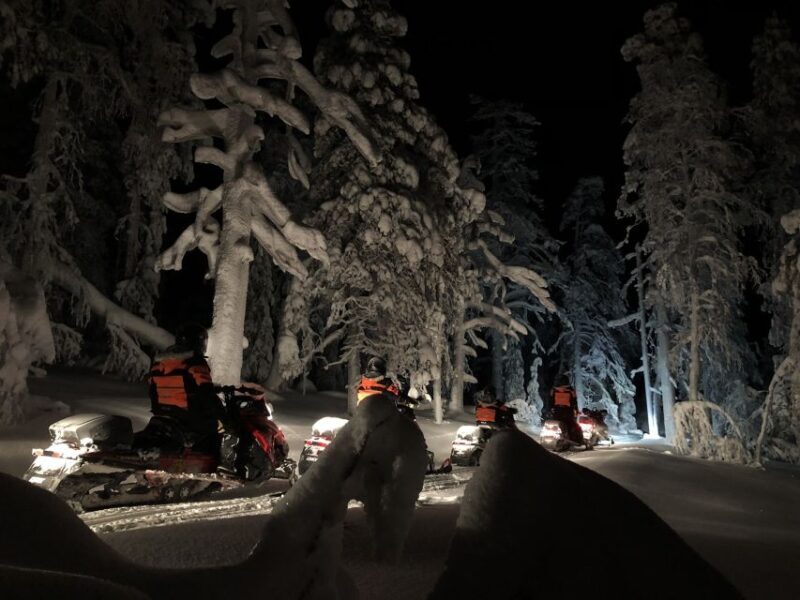 Rovaniemi: Search for Northern Lights Snowmobiling Trip - Authenticity and Value
