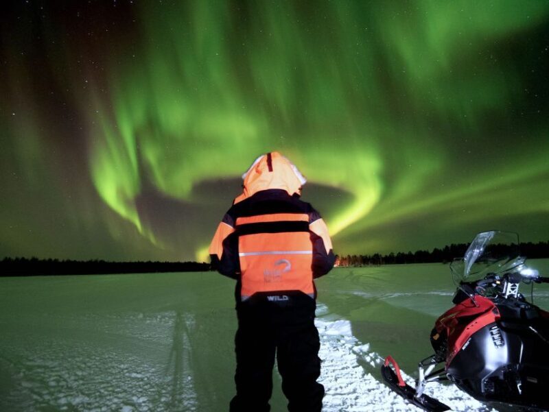 Rovaniemi: Search for Northern Lights Snowmobiling Trip - Who Will Love This Tour