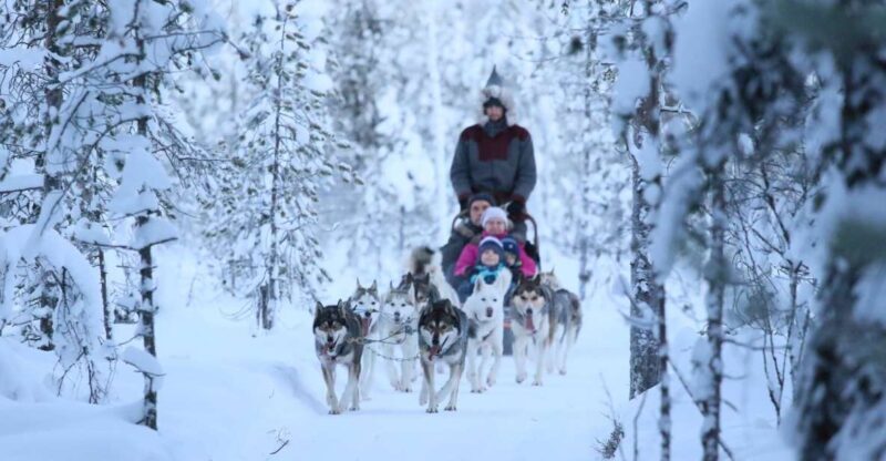 Rovaniemi: Self-Drive Husky Sleigh Ride Adventure - Who Should Consider This Tour?