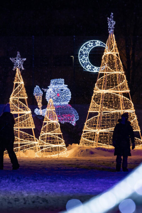 Rovaniemi: SnowGlow Winterpark Entry Ticket - Booking and Cancellation Policies