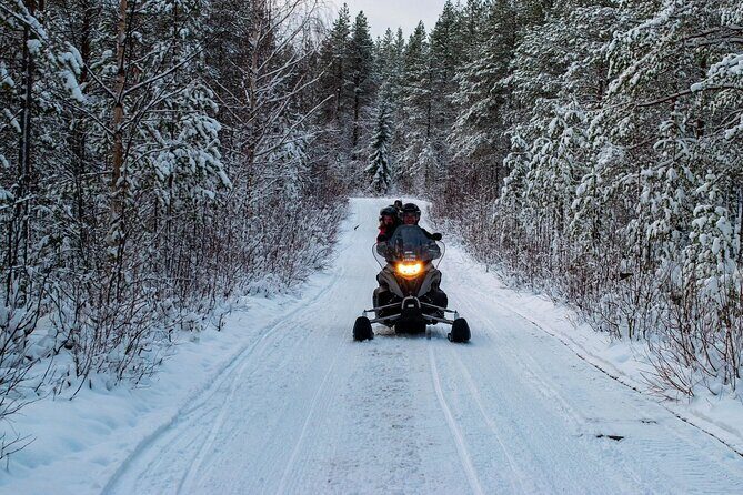 Rovaniemi Snowmobile Adventure & BBQ - 1Hour Drive, Small Group - What’s Included and What to Expect