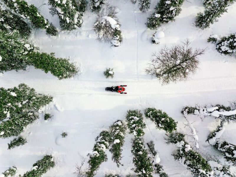 Rovaniemi: Snowmobile Safari Adventure - Key Points