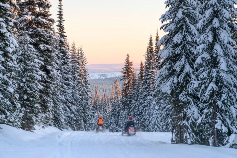 Rovaniemi: Snowmobile Safari Adventure - Tips for a Great Experience