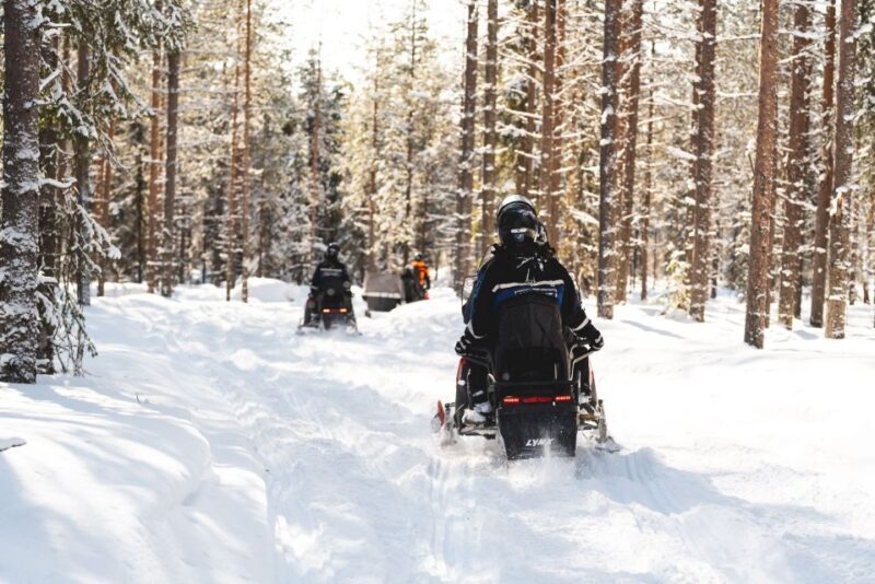 Rovaniemi: Snowmobile Safari into the Arctic Circle Forest - An Overview of What to Expect