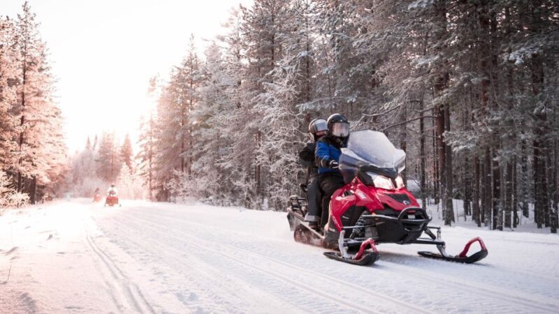 Rovaniemi: Snowmobile Safari into the Arctic Circle Forest - The Experience of Riding