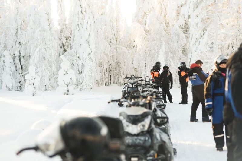 Rovaniemi: Snowmobile Safari into the Arctic Circle Forest - Reviews and Authentic Feedback