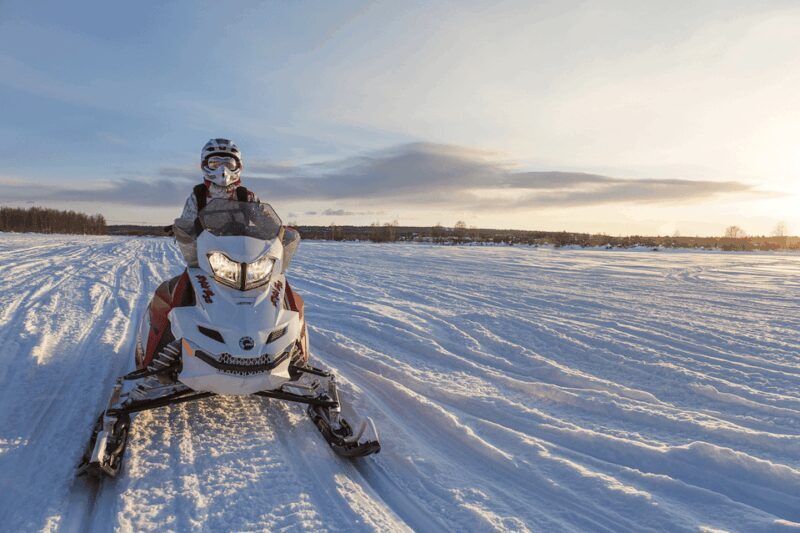 Rovaniemi: Snowmobile Sprint Safari - Introduction to the Snowmobile Safari Experience
