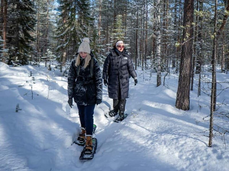 Rovaniemi: Snowshoe Adventure at Vikaköngäs & Barbeque - Why You Should Consider This Tour