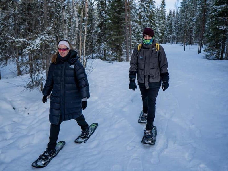 Rovaniemi: Snowshoe Adventure at Vikaköngäs & Barbeque - The Sum Up: A Cozy, Scenic Snapshot of Lapland