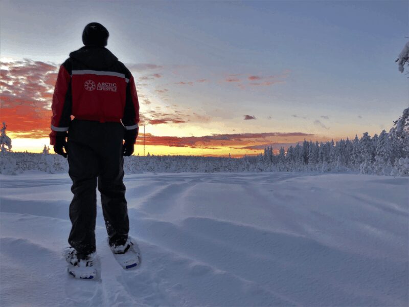 Rovaniemi: Snowshoe Hiking Adventure - The Itinerary and Experience
