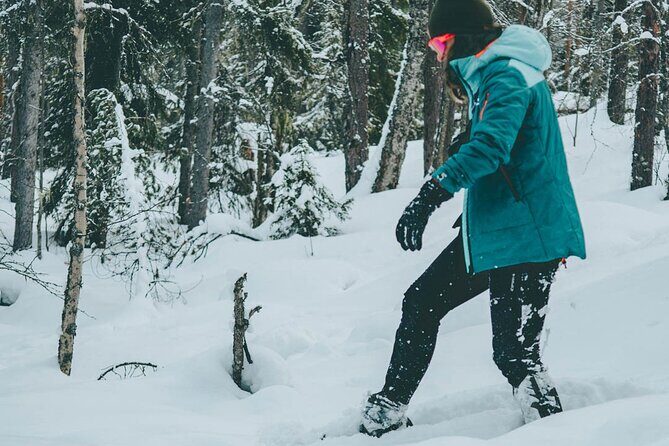Rovaniemi: Snowshoeing in a magical snowy forest - FAQs