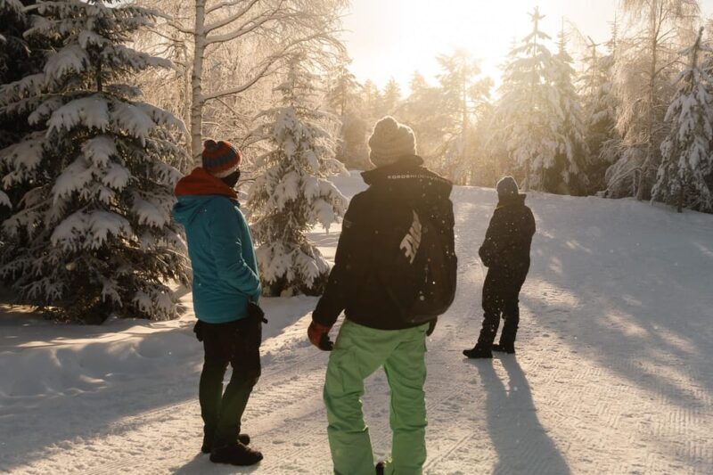 Rovaniemi: Snowshoeing in the Arctic Wilderness - An In-Depth Look at Rovaniemi’s Snowshoe Adventure