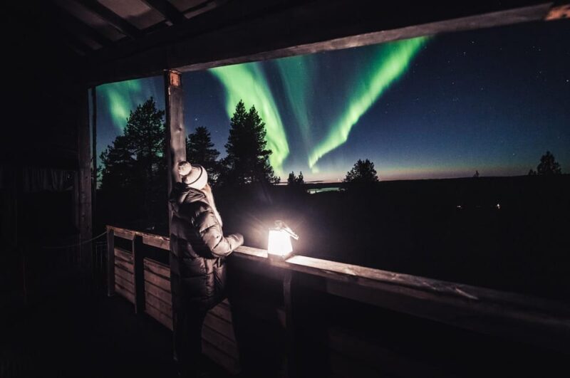 Rovaniemi: Snowy Forest Night Hike with Northern Lights - Key Points