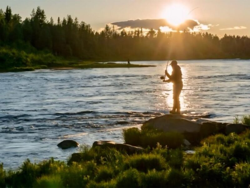 Rovaniemi: Summer Fishing Tour in Arctic Nature & BBQ - Included Amenities