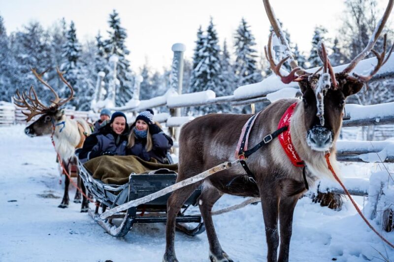 Rovaniemi: Tour to Santa Claus Village with Hotel Transfer - The Sum Up
