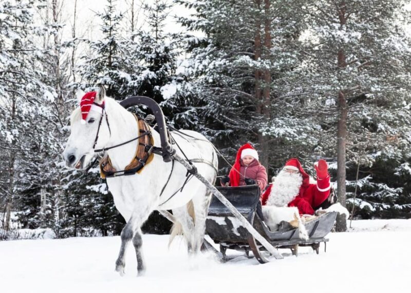 Rovaniemi: Traditional Finnhorse Sleigh Ride at SCV (3km) - FAQ