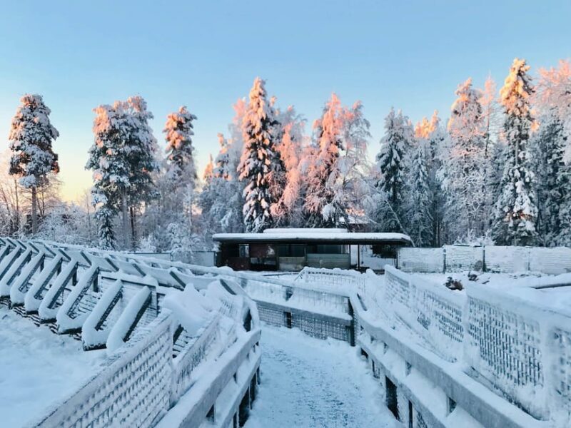 Rovaniemi: Trip to Ranua Zoo with Tickets - The Sum Up