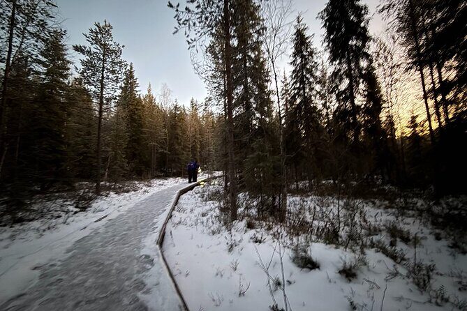Rovaniemi Vikaköngäs Sightseeing & Photography Tour - A Deep Dive into the Vikaköngäs Journey