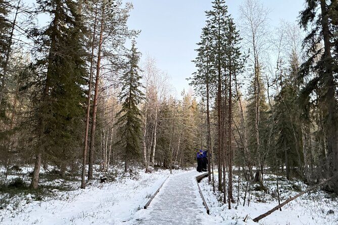 Rovaniemi Vikaköngäs Sightseeing & Photography Tour - The Sum Up: Is This Tour Worth Your Time and Money?