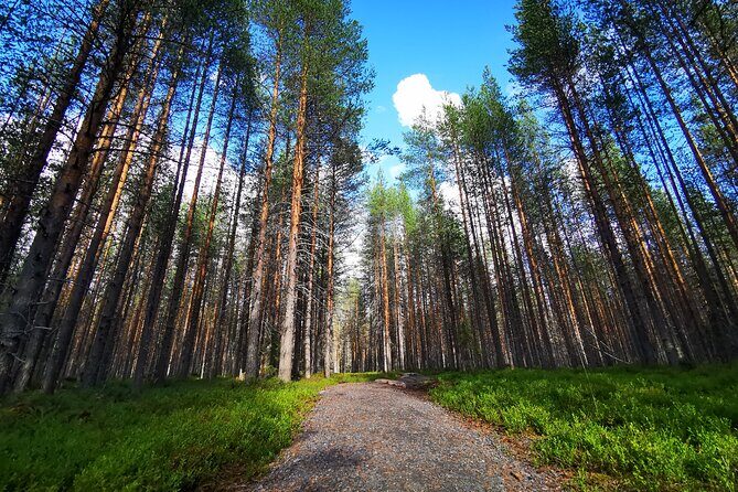 Rovaniemi Vikaköngäs Sightseeing & Photography Tour - FAQs