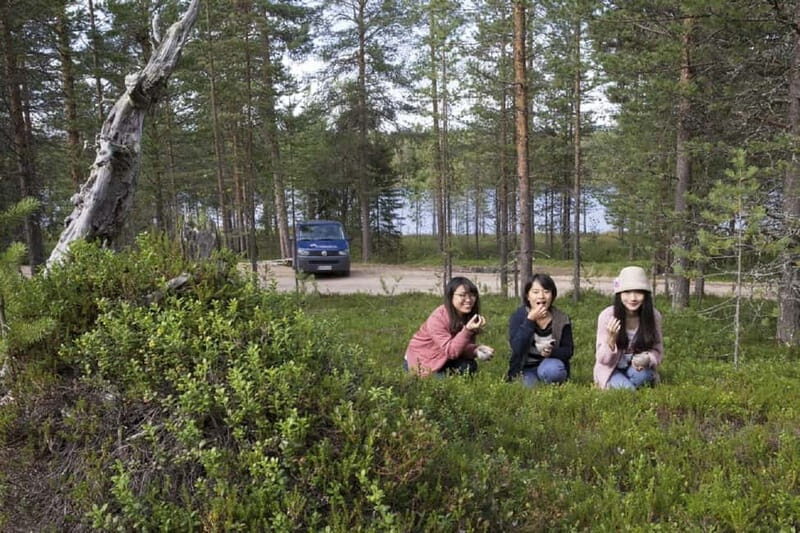 Rovaniemi: Wild Berry Picking and Juice Making - Key Points